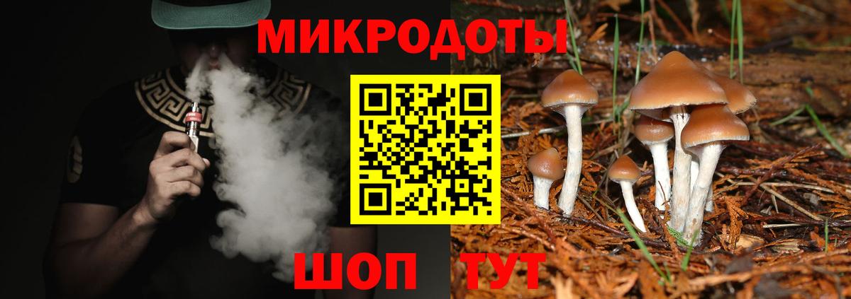 Псилоцибиновые грибы Psilocybe  Вход с VPN  Галлюциногенные грибы Cubensis  Волжск 